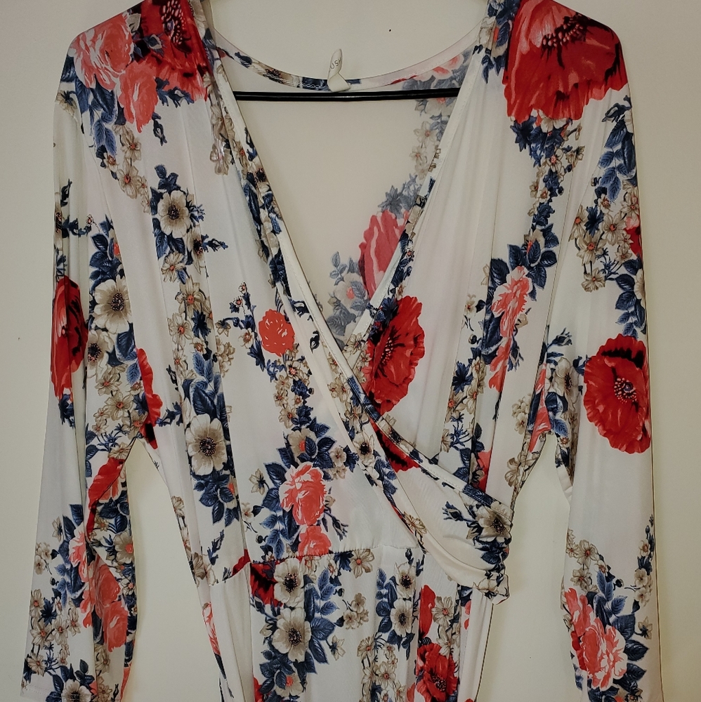 Pinkblush plus size maternity dress